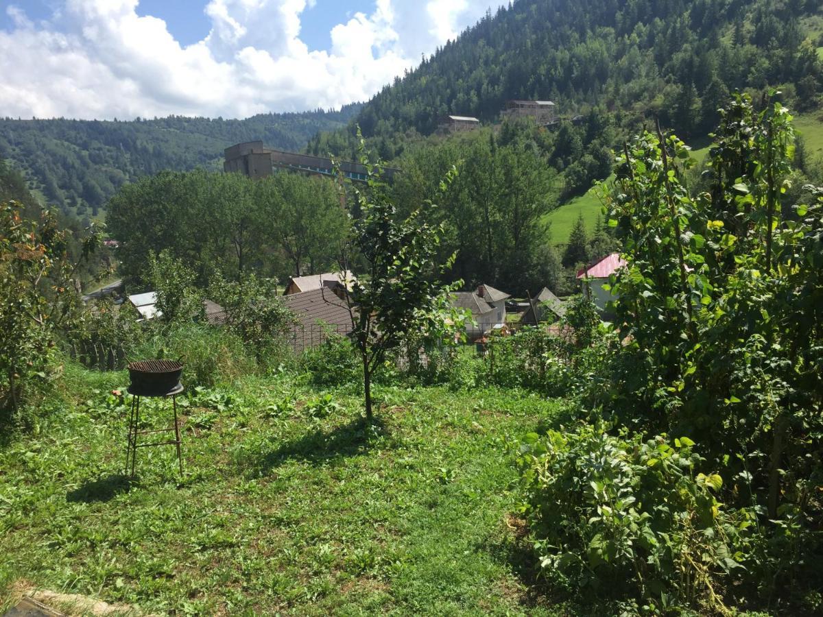 Acasa In Bicaz-Chei - Camere De Inchiriat Cheile Bicazului Extérieur photo