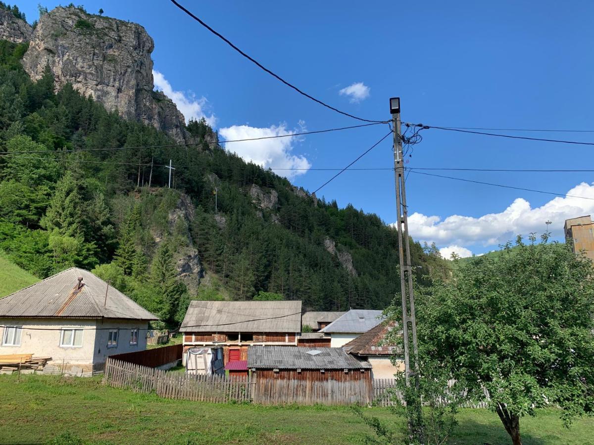 Acasa In Bicaz-Chei - Camere De Inchiriat Cheile Bicazului Extérieur photo